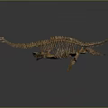 Dinosaur Organ System And Hair Structure In Prehistoric Fossil Model