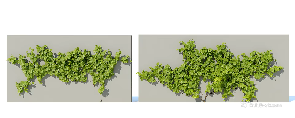 Lush Green Climbing Vines With Dense Foliage Growing On Gray Wall 3d model 