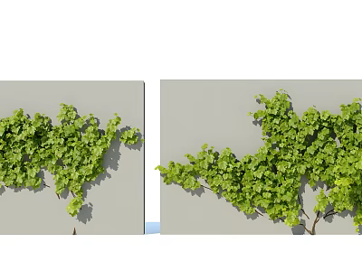 Lush Green Climbing Vines With Dense Foliage Growing On Gray Wall 3d model
