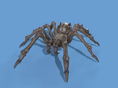 Realistic Spider 3D Model with Detailed Legs and Textured Exterior on Blue Background 3d model