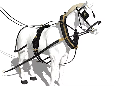 White Horse Adorned With Black And Gold Harness Standing Tall 3d model