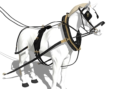 Modern Horse Animals model