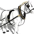 White Horse Adorned With Black And Gold Harness Standing Tall