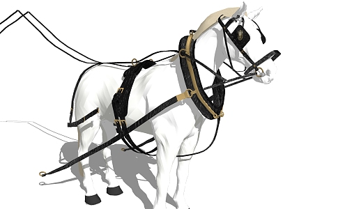 Modern Horse Animals 3d model