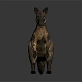 Realistic Reptile Standing With Brown Yellow Scales On Gray Background