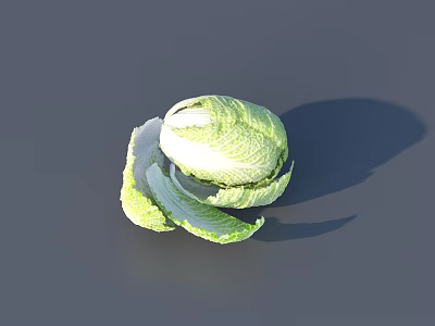 Fresh Green Cabbage With Peeled Leaves On Gray Background And Shadow 3d model