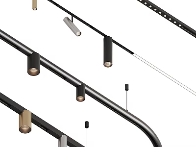 Modern Design Track Mounted Downlights And Spotlights With Black Gold Fixtures 3d model