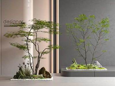 Leafy Plant Combination With Stones And Moss In Modern Interior 3d model