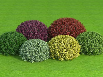 Modern Shrub Flowering Shrub Ball 3d model
