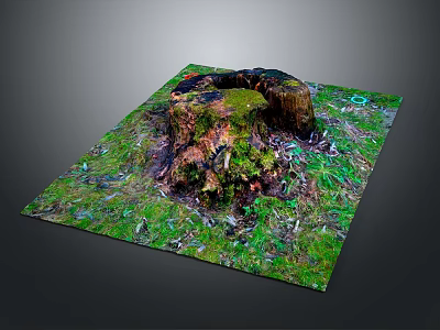 Natural Wooden Stump Decor With Stone Surface And Green Mossy Details 3d model