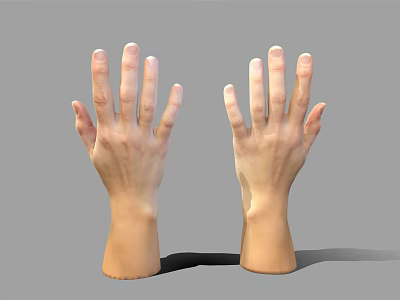 Realistic Human Hands Anatomical 3D Rendering With Natural Pose And Skin Texture 3d model