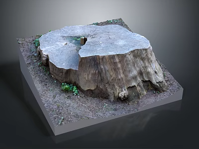 Rustic Wooden Tree Stump Decor With Square Stone Base And Small Plants 3d model