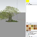 Lush Green Ancient Tree with Thick Trunk Growing by Water and Grassland