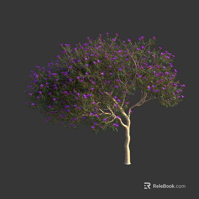 Lush Garden Tree With Purple Blossoms Green Foliage And Light Brown Trunk 3d model 
