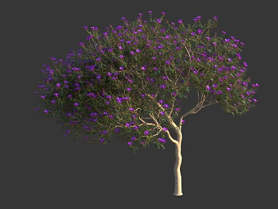 Lush Garden Tree With Purple Blossoms Green Foliage And Light Brown Trunk 3d model