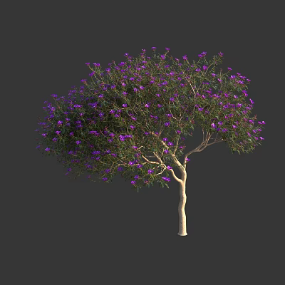 Lush Garden Tree With Purple Blossoms Green Foliage And Light Brown Trunk 3d model