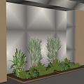 modern plant potted plant green plant 3d model