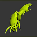 Vibrant Orange Crab with Prominent Large Claws Isolated on Dark Background