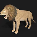 Realistic Roaring Lion 3D Model With Detailed Mane And Open Mouth