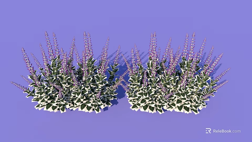 Lush Flowers and Plants with Green Leaves and Purple Spikes on Purple Background 3d model 