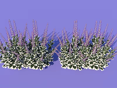 Lush Flowers and Plants with Green Leaves and Purple Spikes on Purple Background 3d model