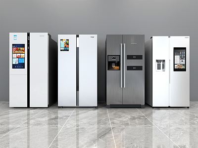 Modern refrigerator model