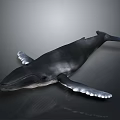 Realistic 3D Rendered Whale In Swimming Pose With Dark Color On Gray Background