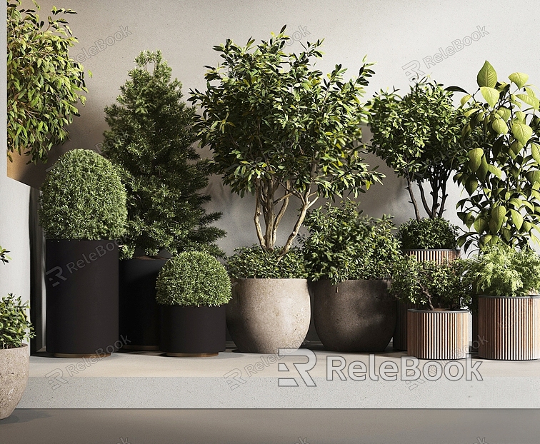 green plant potted group and model