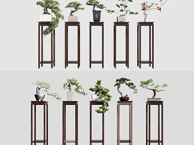 Multiple Wooden Plant Stands With Bonsai Plants In Various Decorative Designs 3d model