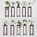 Multiple Wooden Plant Stands With Bonsai Plants In Various Decorative Designs