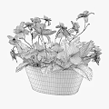 Decorative Potted Plant With Orange Red Flowers Green Leaves And HOME FLOWERS Design