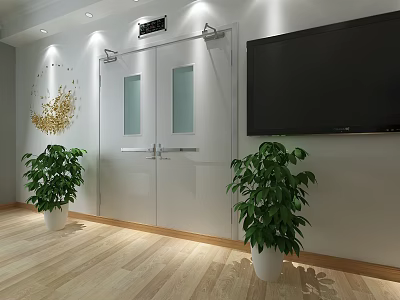 Modern Interior Space With Double Doors Large TV Green Plants And Wooden Floor 3d model
