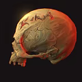 Human Skull Anatomical Model Medical Device with Detailed Markings for Educational Use