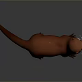 Realistic Red Otter 3D Model Rendered On Gray Background With Detailed Fur