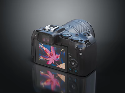 Digital Camera with LCD Screen Displaying Red Maple Leaf Photo Black Body and Control Buttons 3d model