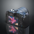 Digital Camera with LCD Screen Displaying Red Maple Leaf Photo Black Body and Control Buttons 3d model