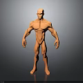 Muscular Male 3D Model Figure Standing With Orange Color And Human Anatomy