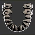 Dental Teeth Model Displaying Clear Orthodontic Braces For Teeth Alignment 3d model