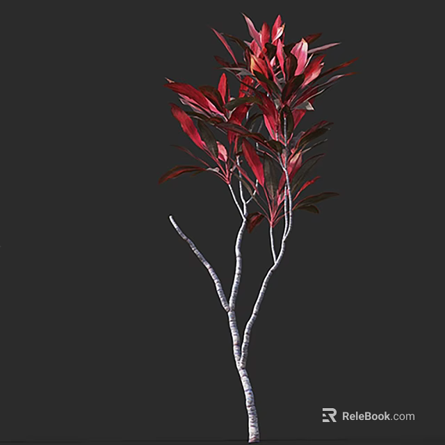 Tree With Vibrant Red Leaves And Slender White Branches On Dark Background 3d model 