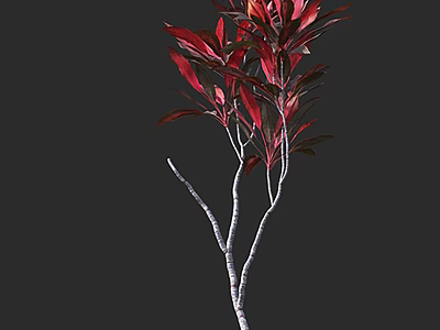 Tree With Vibrant Red Leaves And Slender White Branches On Dark Background 3d model