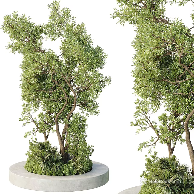 Outdoor Tree Planter With Lush Green Trees And Round Concrete Base 3d model 