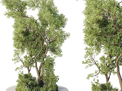 Outdoor Tree Planter With Lush Green Trees And Round Concrete Base 3d model