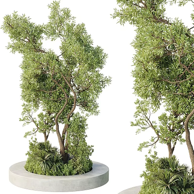 Outdoor Tree Planter With Lush Green Trees And Round Concrete Base 3d model