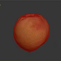 Fresh Ripe Yellow And Red Peach On Dark Background With Juicy Texture