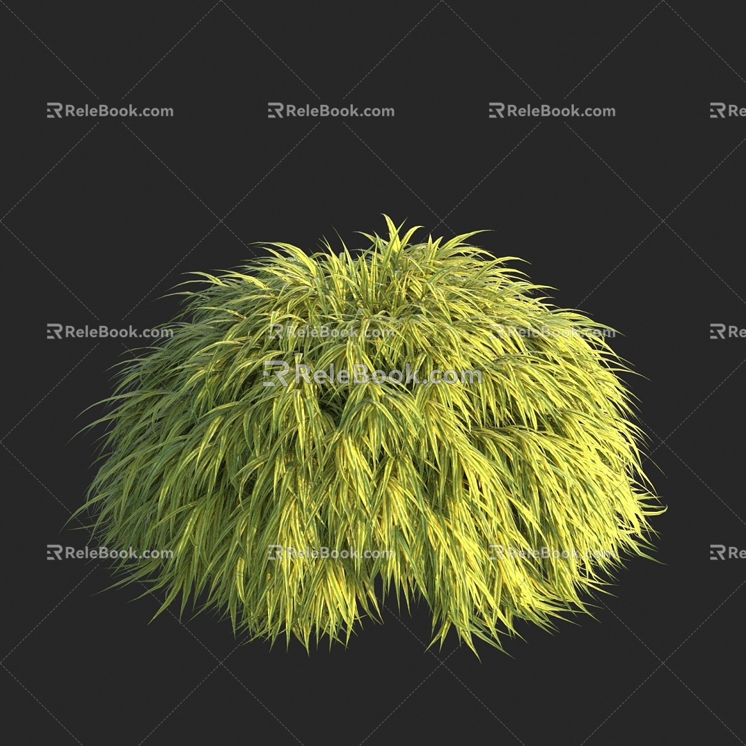 Modern creeping Xiagra Golden Zhifeng Grass Ornamental Grass 3d model