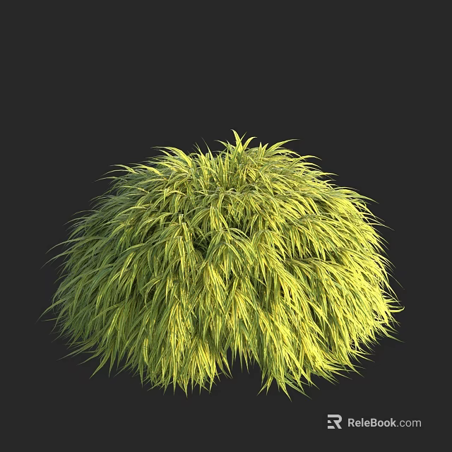 Lush Yellowish Green Round Shaped Bushy Grass Clump Against Dark Background 3d model 