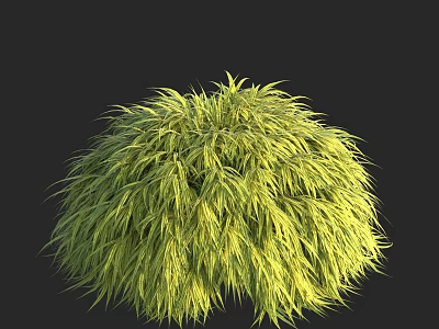 Lush Yellowish Green Round Shaped Bushy Grass Clump Against Dark Background 3d model