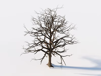 Dead Tree Dead Wood 3d model