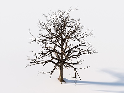 Dead Tree Dead Wood 3d model