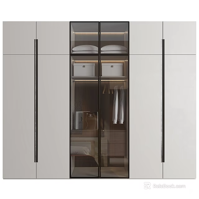 Modern Wardrobe Interior Design With Glass Doors Hanging Rods And Shelves 3d model 